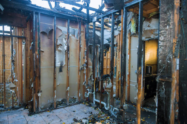 Professional Fire Damage Removal technician working in Knoxville, TN